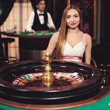 Suci88 Bingo kartu digital interaktif tampilan grafis modern pemain live Indonesia